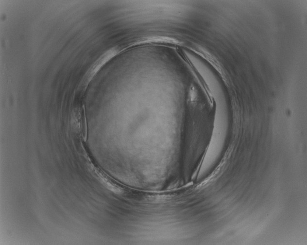 X0000072971377200608211311