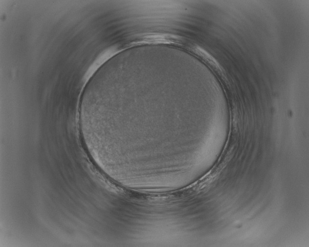 X0000072971378200608211311