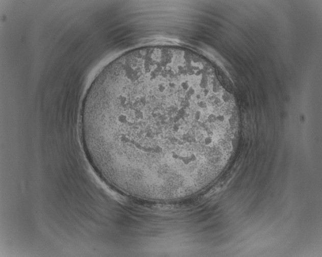 X0000072971379200608211311