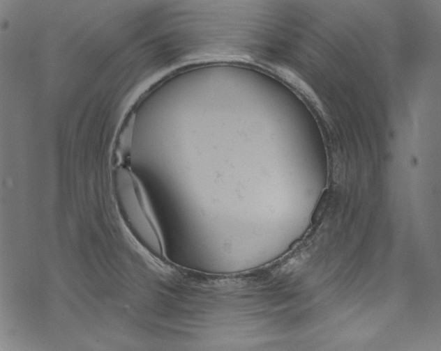 X0000072971380200608211311