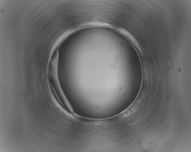 X0000072971381200608211311