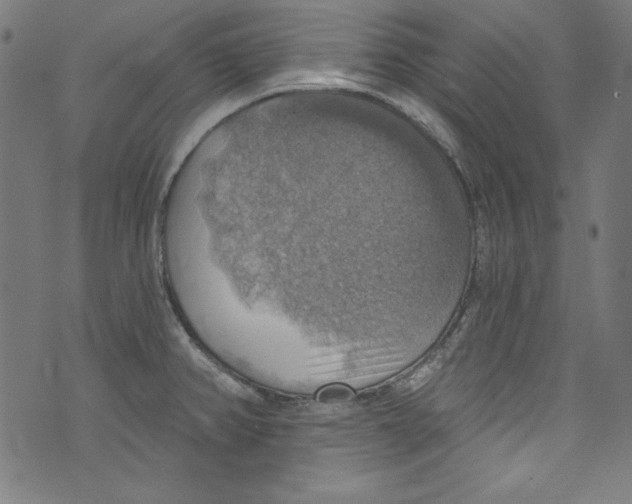 X0000072971382200608211311