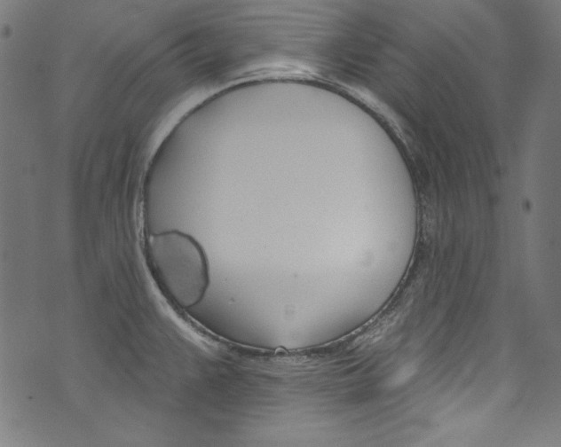 X0000072971383200608211311