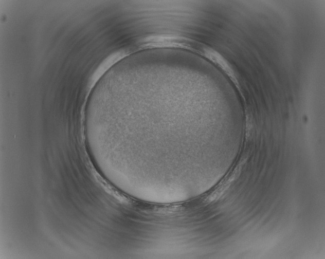 X0000072971386200608211311