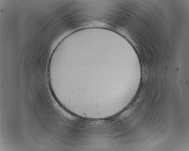 X0000072971387200608211311