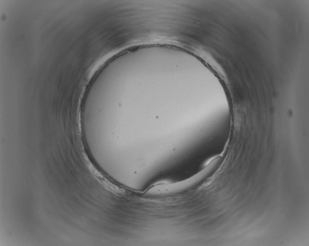 X0000072971388200608211311