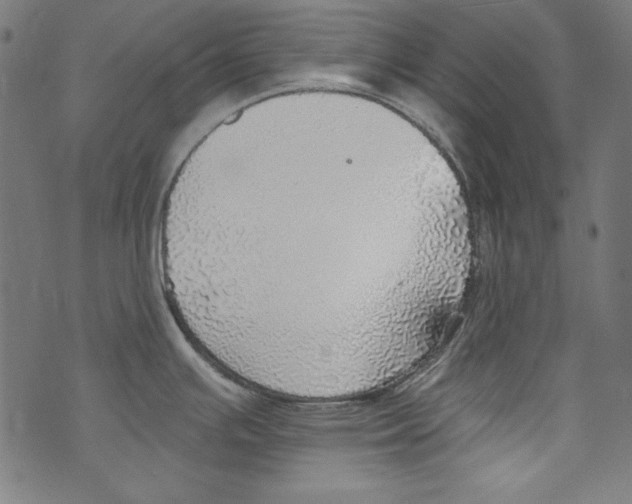 X0000072971391200608211311