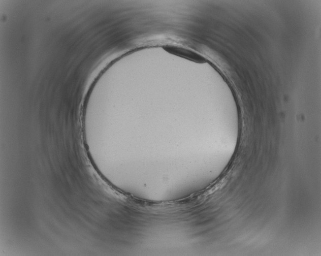 X0000072971392200608211311