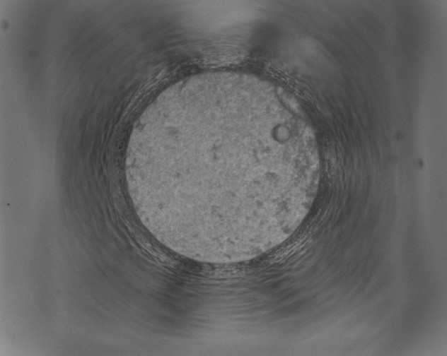 X0000072971393200608211310