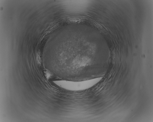 X0000072971394200608211310