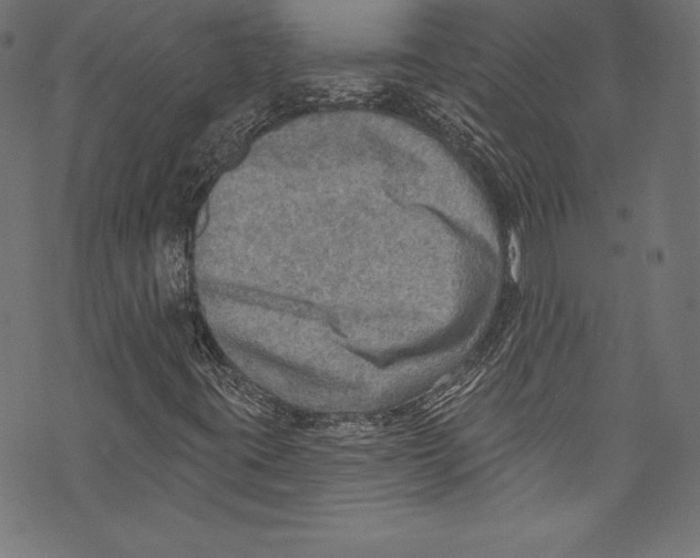 X0000072971395200608211310