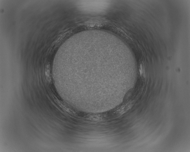 X0000072971396200608211310