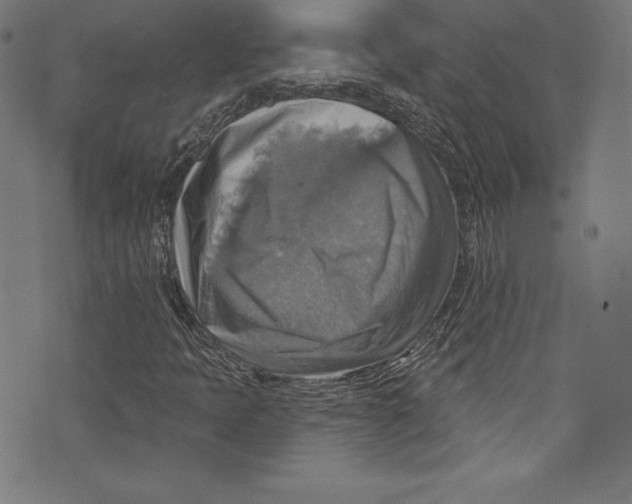 X0000072971397200608211310