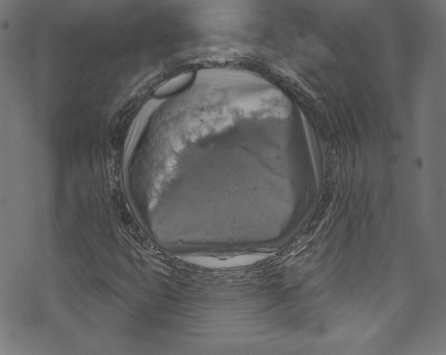 X0000072971399200608211310