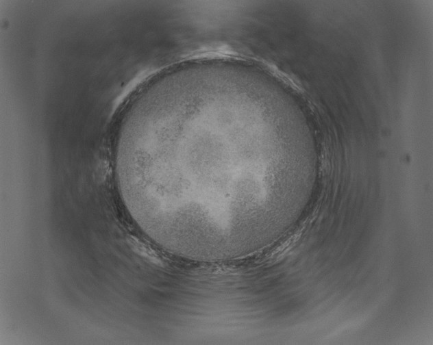 X0000072971400200608211310