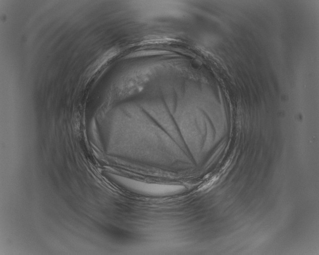 X0000072971401200608211310