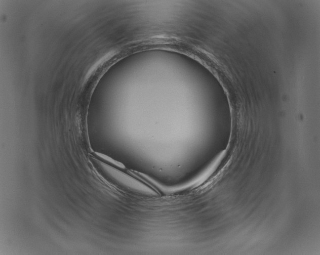 X0000072971402200608211310