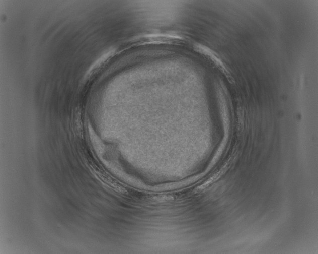 X0000072971403200608211310