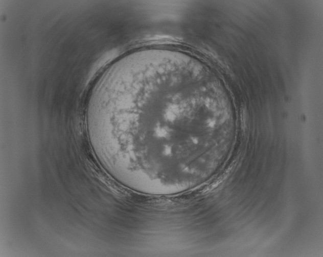 X0000072971405200608211310