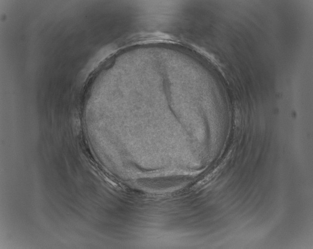 X0000072971407200608211310