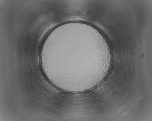 X0000072971408200608211310