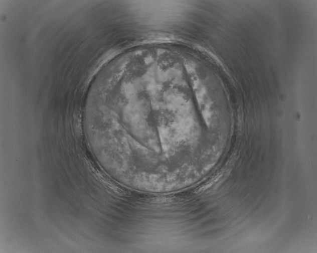 X0000072971409200608211310