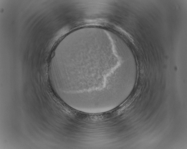 X0000072971411200608211310