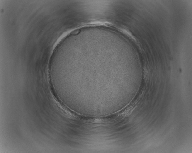 X0000072971412200608211310