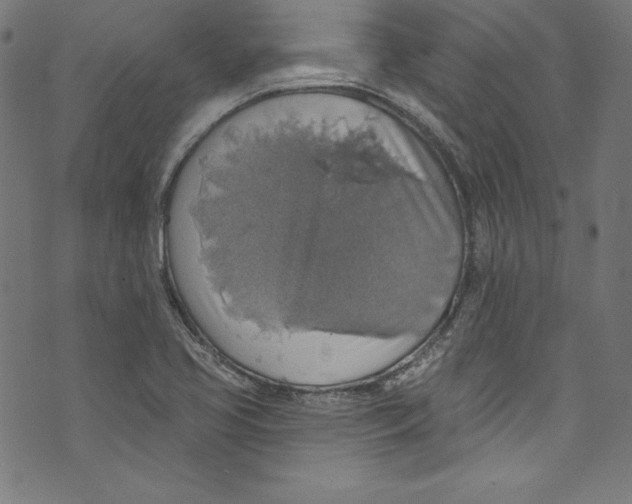 X0000072971413200608211310