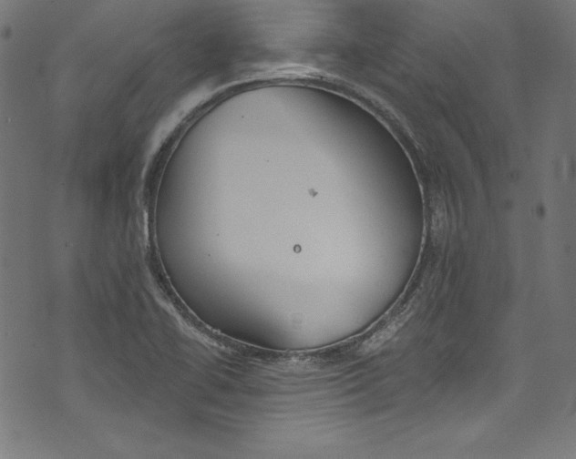 X0000072971414200608211310