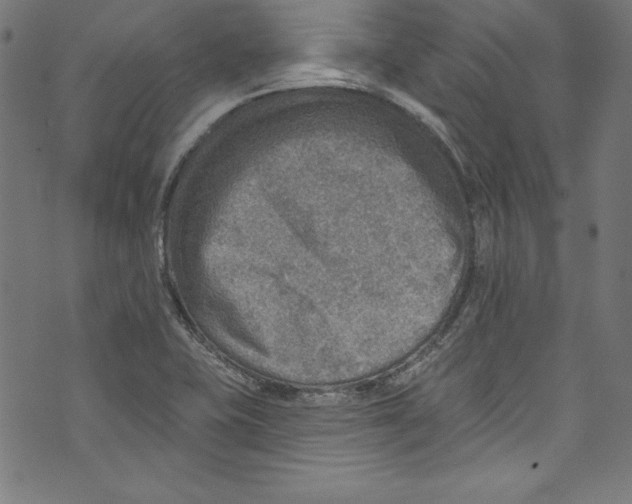 X0000072971415200608211310