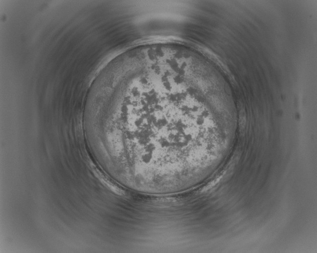 X0000072971417200608211310