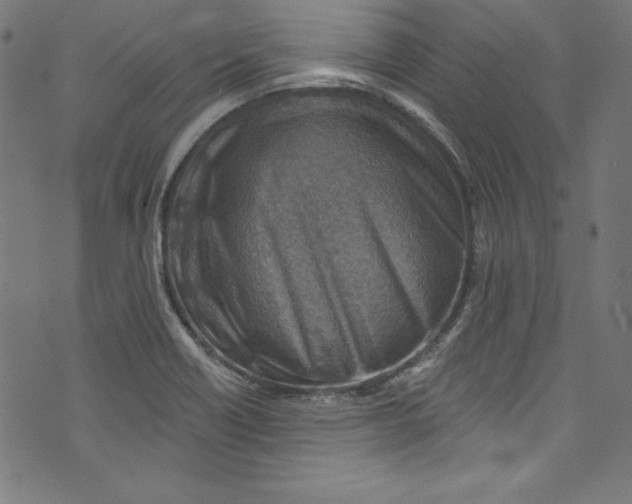 X0000072971418200608211310