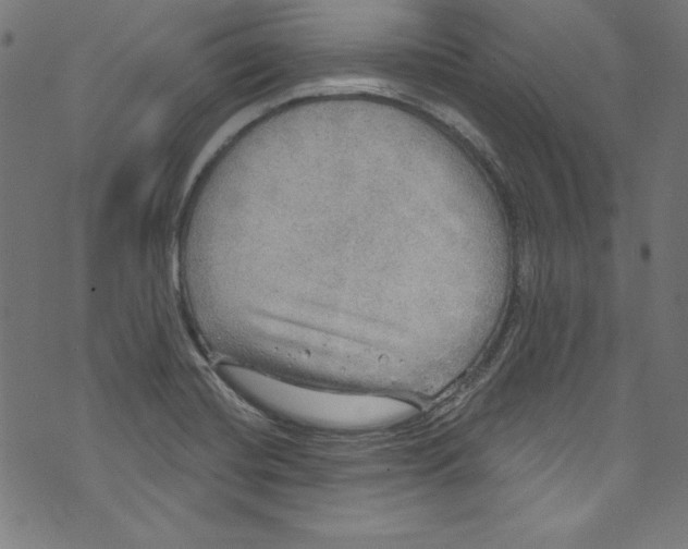 X0000072971420200608211310