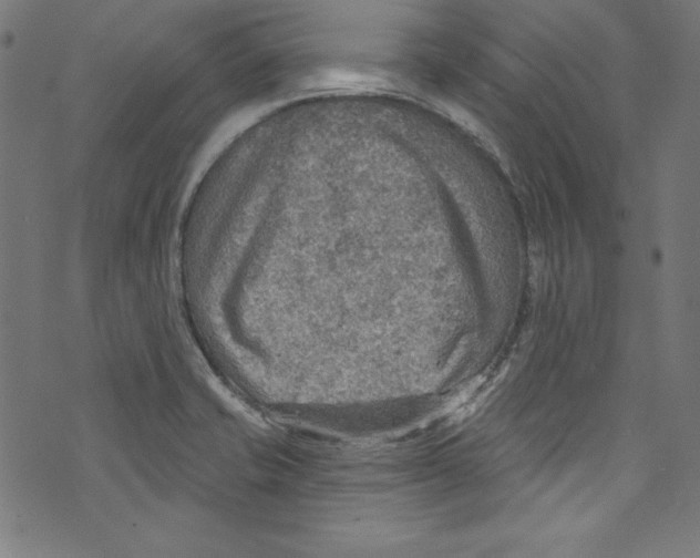 X0000072971421200608211310