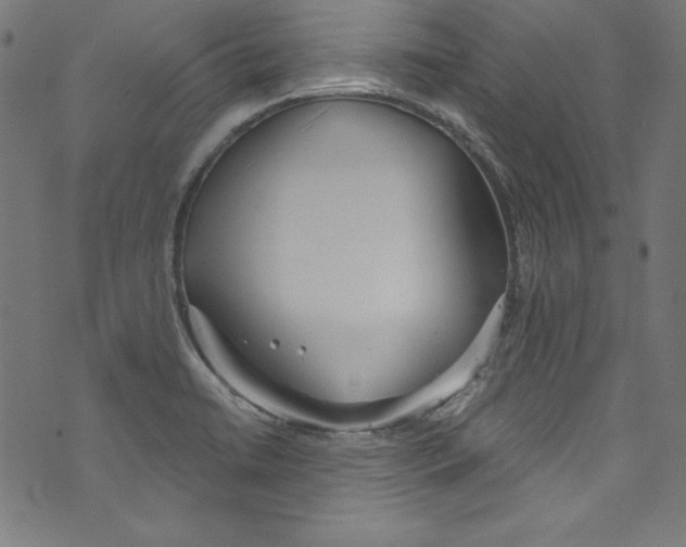 X0000072971422200608211310