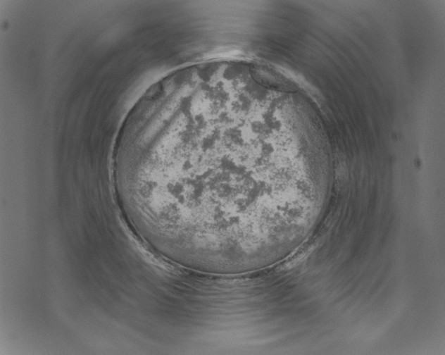 X0000072971423200608211310