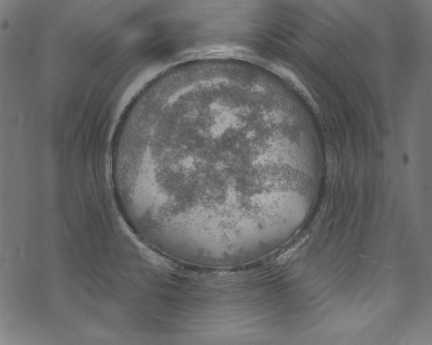 X0000072971424200608211310