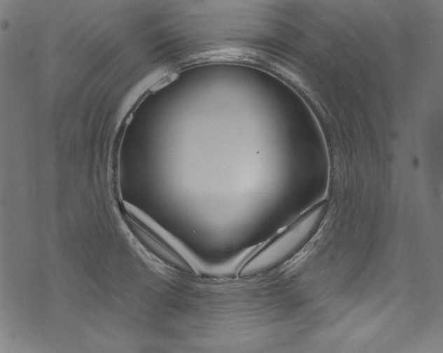 X0000072971426200608211310