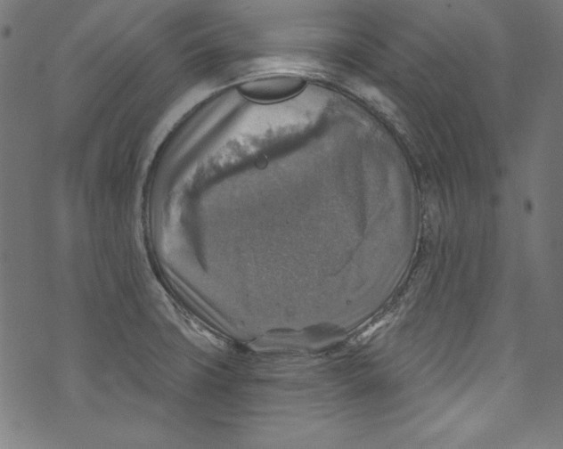 X0000072971427200608211310