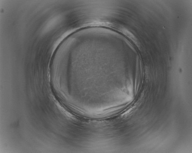 X0000072971428200608211310