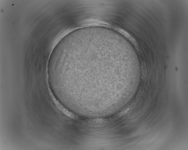 X0000072971431200608211311