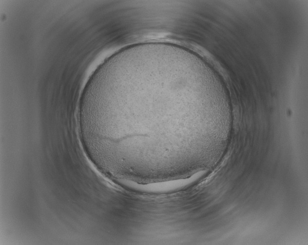 X0000072971432200608211311