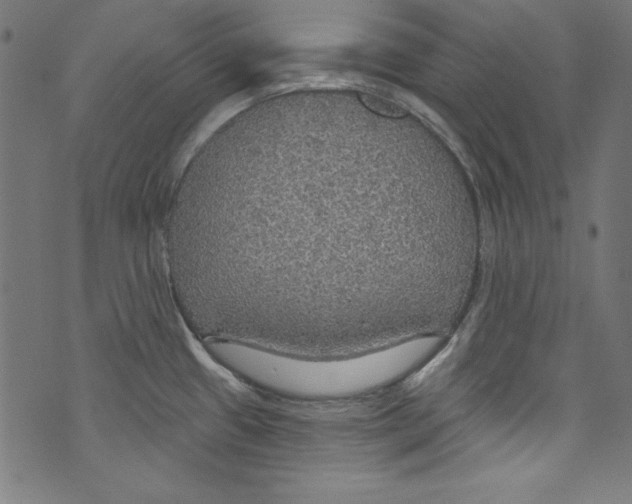 X0000072971433200608211311