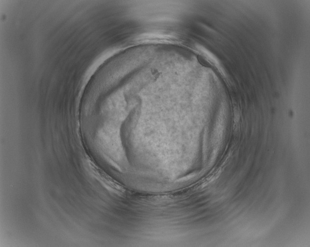 X0000072971435200608211311