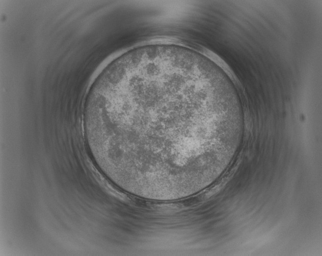 X0000072971436200608211311