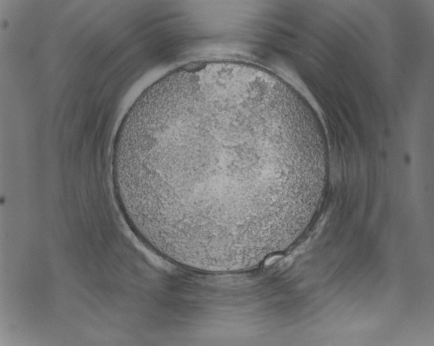 X0000072971437200608211311