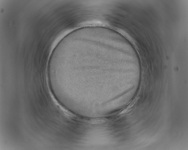 X0000072971440200608211311