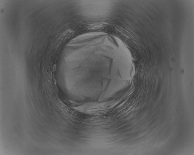 X0000072971441200608211310