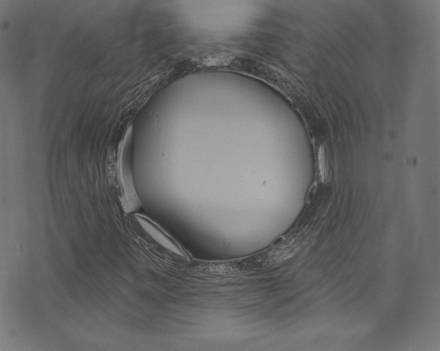 X0000072971443200608211310